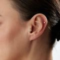 İstiridye Tasarım Piercing