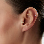 İstiridye Tasarım Piercing