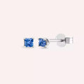 Paio Blue Sapphire White Gold Earrings
